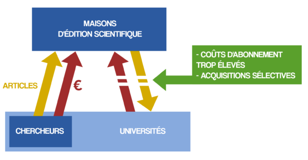 Anemforg Le Site Officiel Des étudiants En Médecine