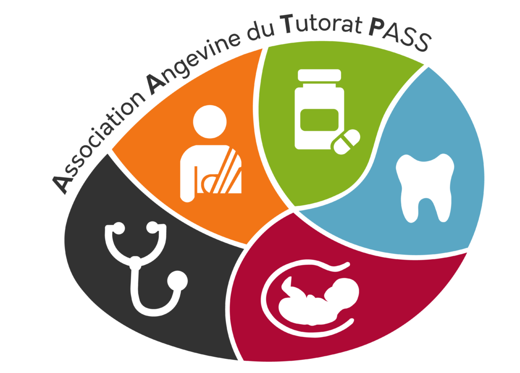 Association-Angevine-du-Tutorat-Pass-1024x734